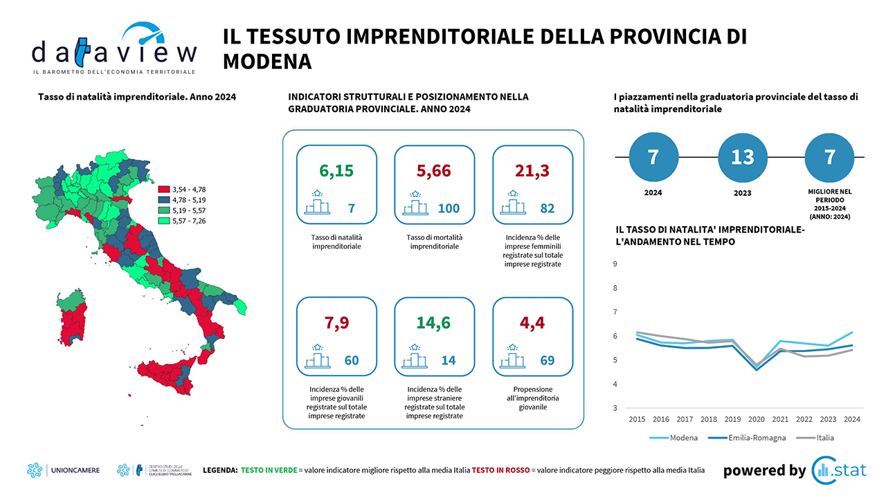 Dataview - Il tessuto imprenditoriale